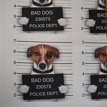 Dekorativno blago - pes na policiji