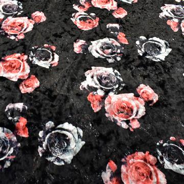 Pliš - rdeče bele vrtnice na črni